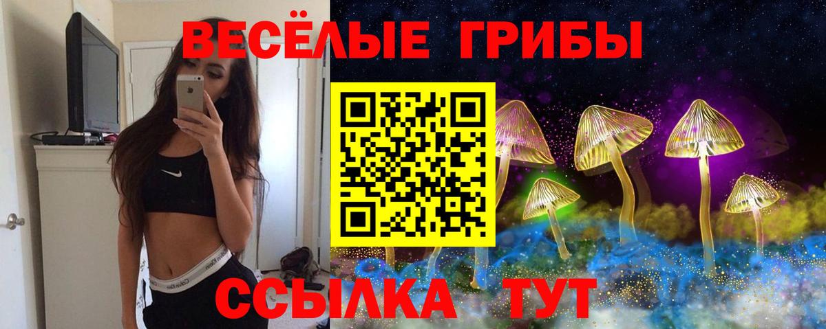 Армавир  Галлюциногенные грибы мицелий  Псилоцибиновые грибы Psilocybe  Вход с VPN 